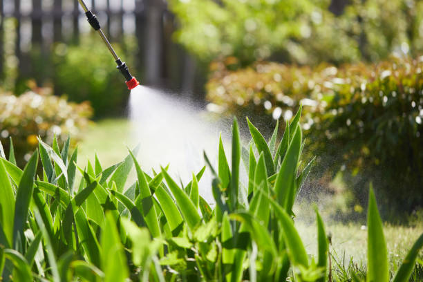 Tamper-Resistant Bait Stations for Rodents in Delaware City