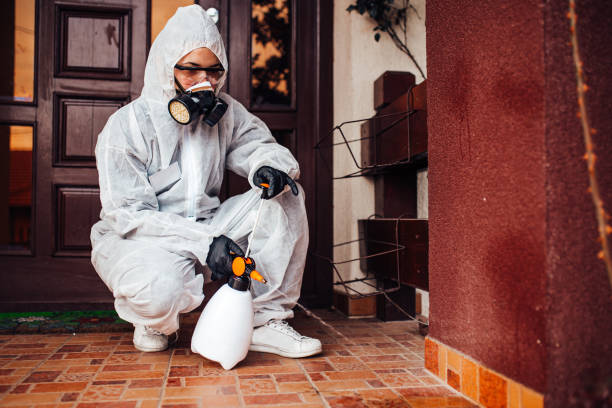 Attic and Crawl Space Rodent Treatment in Delaware City