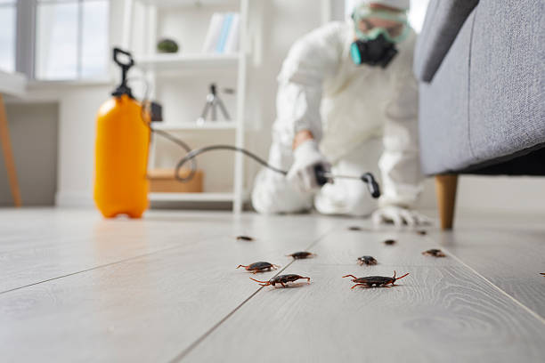 Commercial Rodent Management in Delaware City